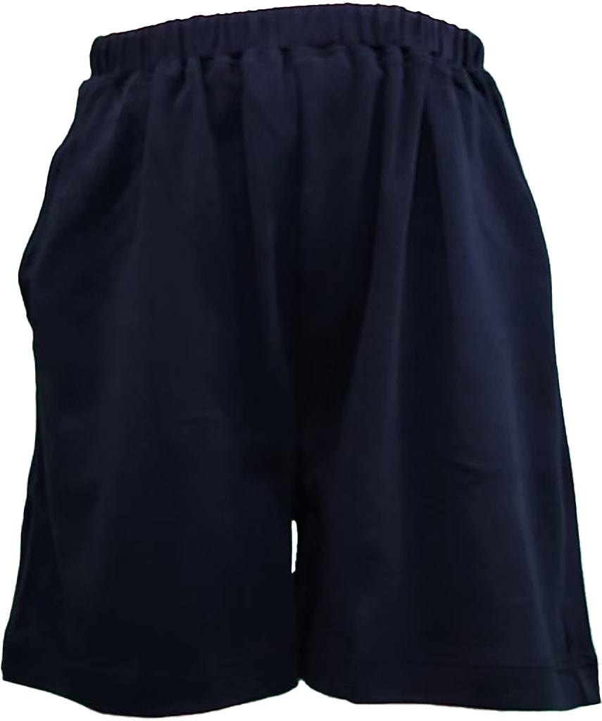 Baby and Toddler Navy Blue Cotton Shorts